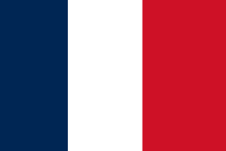 drapeau français dm gaming