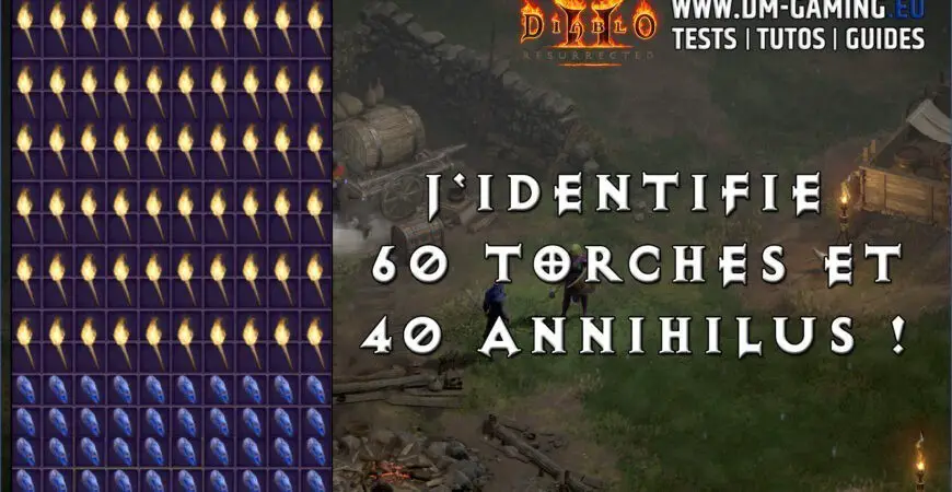 Identification 60 Torches et 40 Annihilus sur Diablo 2 Resurrected