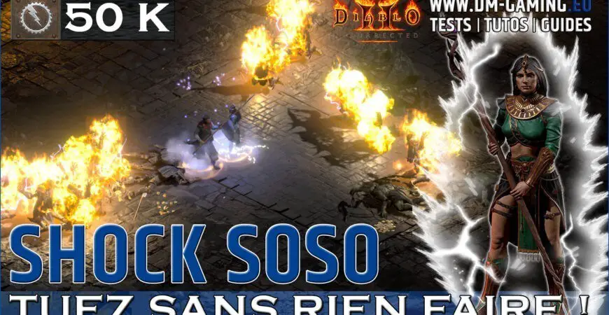Shock Sorcière Diablo 2