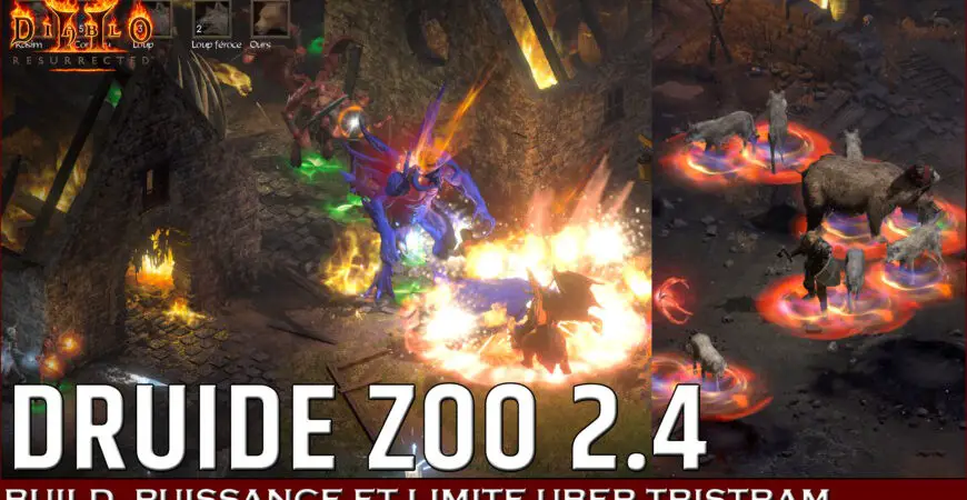 Druide Zoo Invocation 2.4 D2R