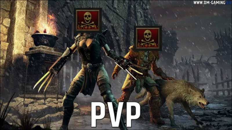 PvP Diablo 2 resurrected, all our guides